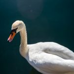 Depositphotos 199354148 S