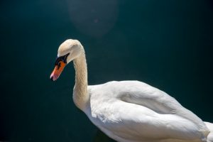 Depositphotos 199354148 S