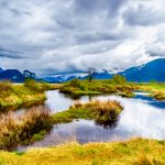 Depositphotos 267139188 S