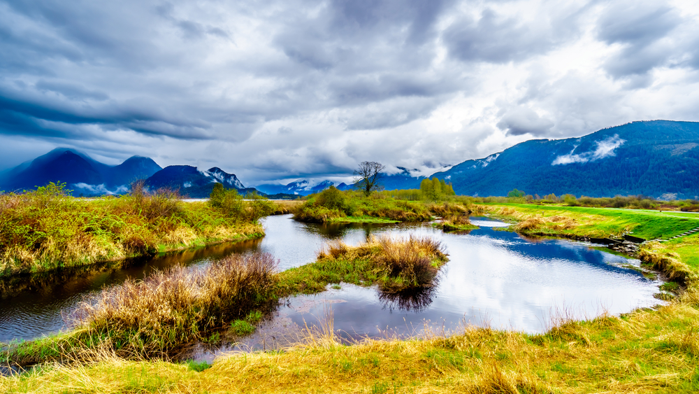 Depositphotos 267139188 S