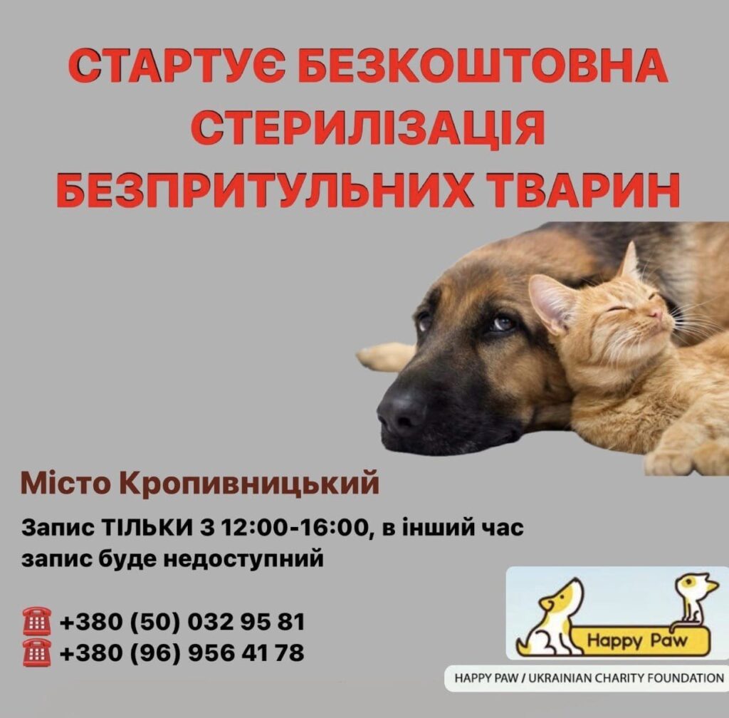 стерилізація тварин