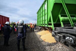 Висипане українське зерно на кордоні з Польщею