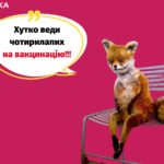щеплення від сказу