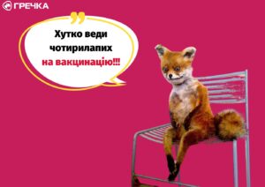 щеплення від сказу