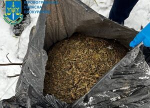 канабіс прокуратура