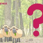 Пасовище замість лісу