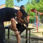 пожежа із песиком Олександрія