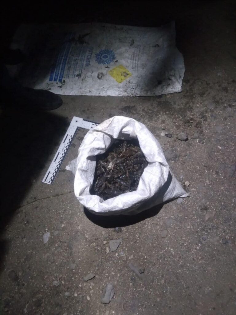 раків виловили мішок