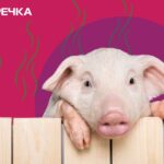 Свиноферма