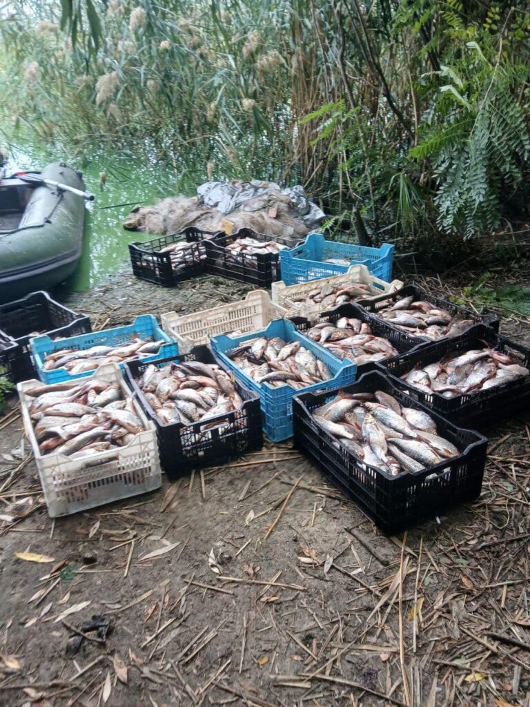 риба браконьєр 2 мільйони