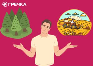 суд земельна ділянка Гурівська