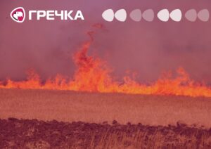 пожежа горить суха трава поле