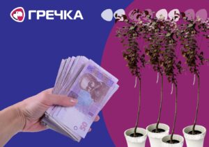 сливи Пісарді у Кропивницькому ціна