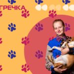 собака з притулку