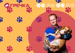 собака з притулку