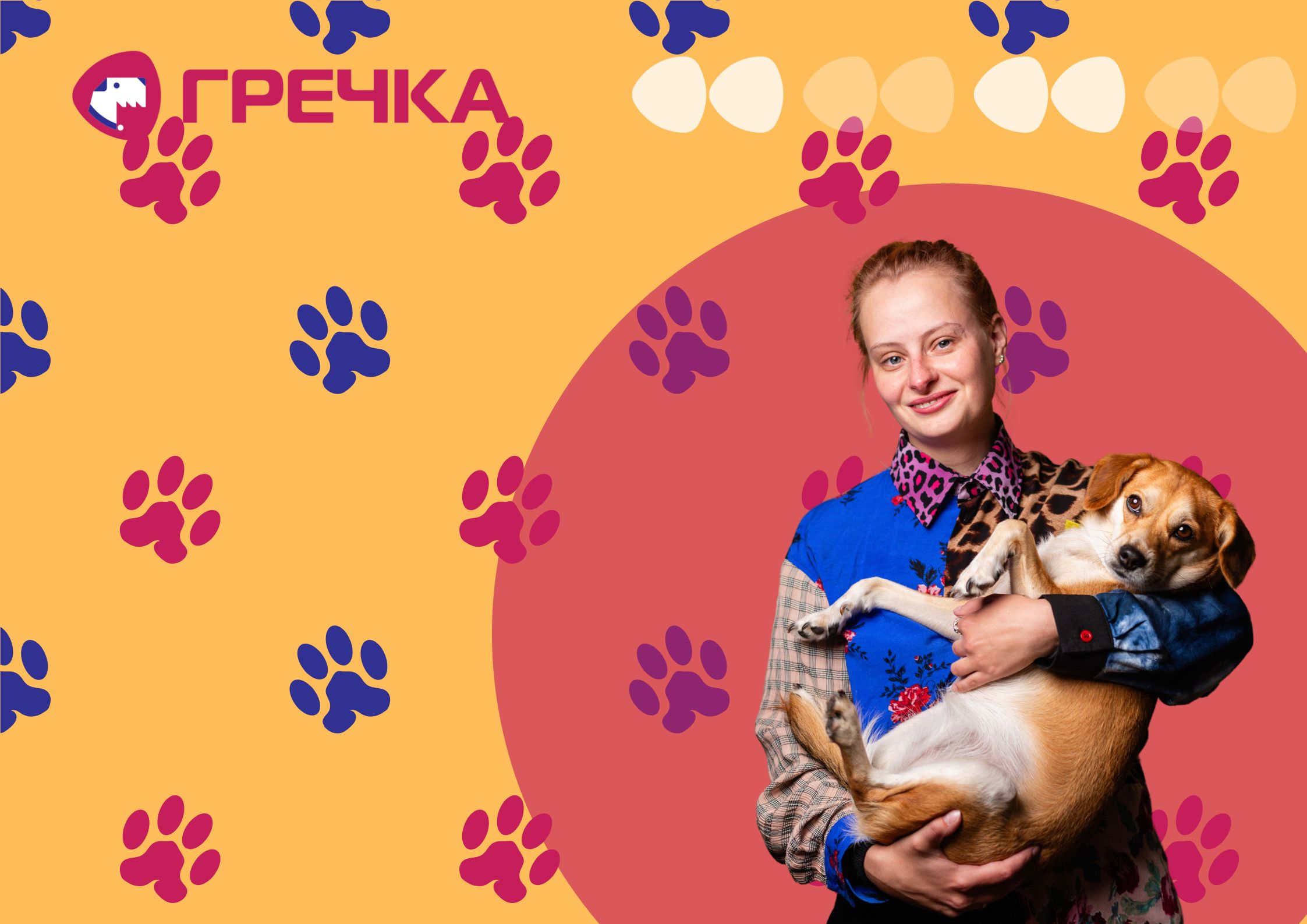 собака з притулку