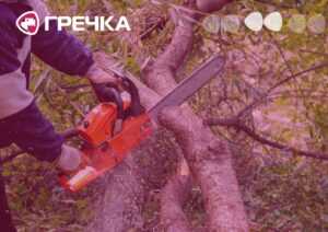 пиляв дерева рубав незаконно