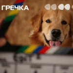 фільми про тварин 2026