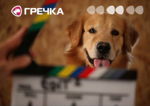 фільми про тварин 2026