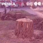 дерева спиляли Кропивницький сквер трамваю
