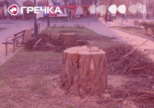 дерева спиляли Кропивницький сквер трамваю