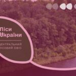 лісництва лісгоспи Кіровоградщина філії