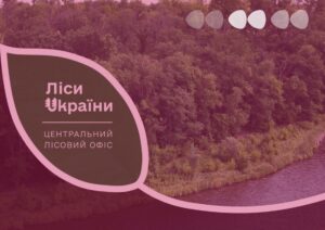 лісництва лісгоспи Кіровоградщина філії