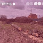 дерева посадку пиляють Соколівському