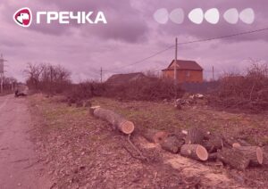 дерева посадку пиляють Соколівському