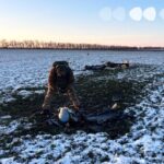Підірвали вибухотехніки частину безпілотника