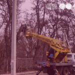 сквер Кропивницький пиляють дерева