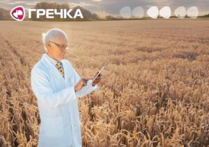 зерно сорти Кіровоградщини редоковане