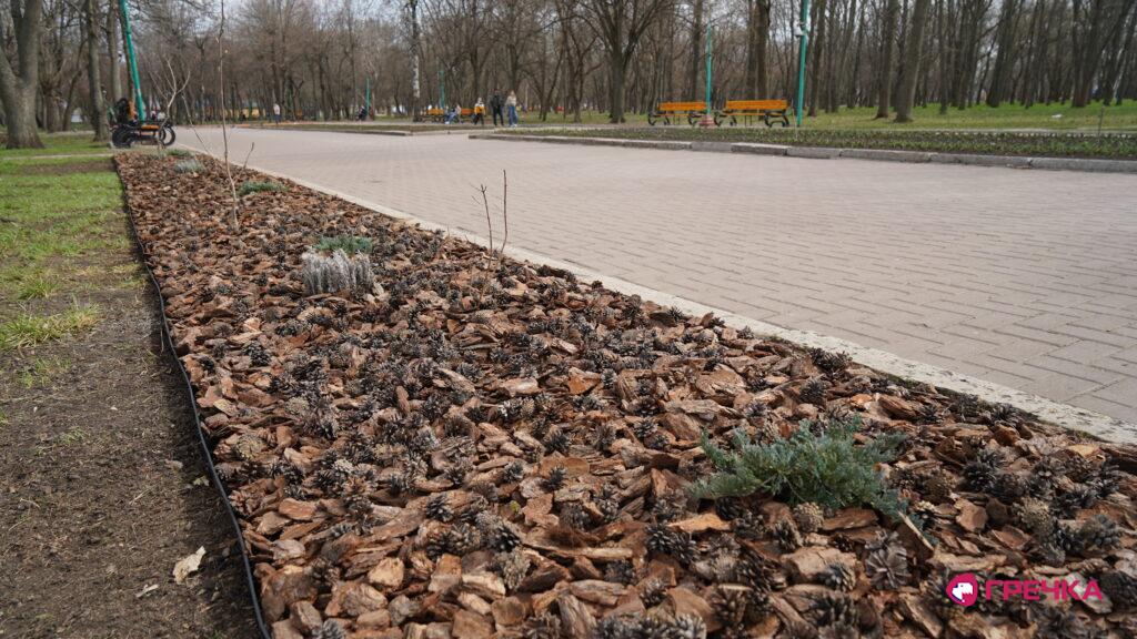 алея памʼяті володимира Чорного у Кропивницькому Дендропарк гортензії