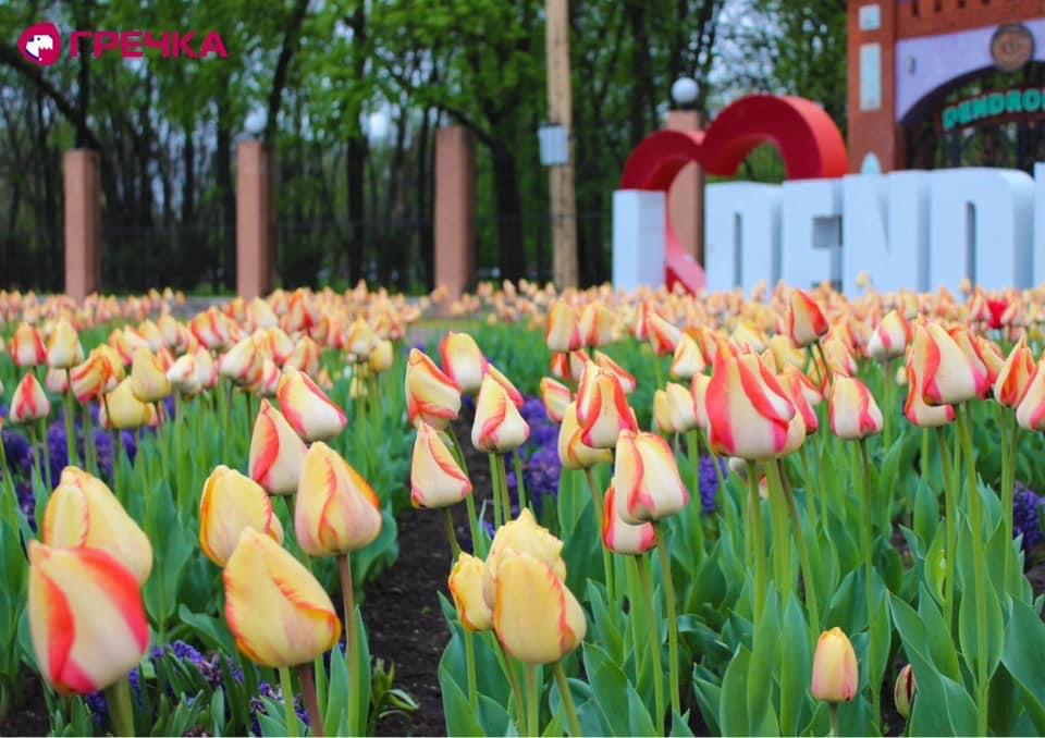 Дендропарк