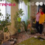 Орхідеї кропивничанка Кропивницький шахедами