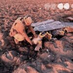 підірвали безпілотник дрон Кіровоградська