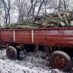 Порубка дерев підозру прокуратура