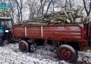 Порубка дерев підозру прокуратура