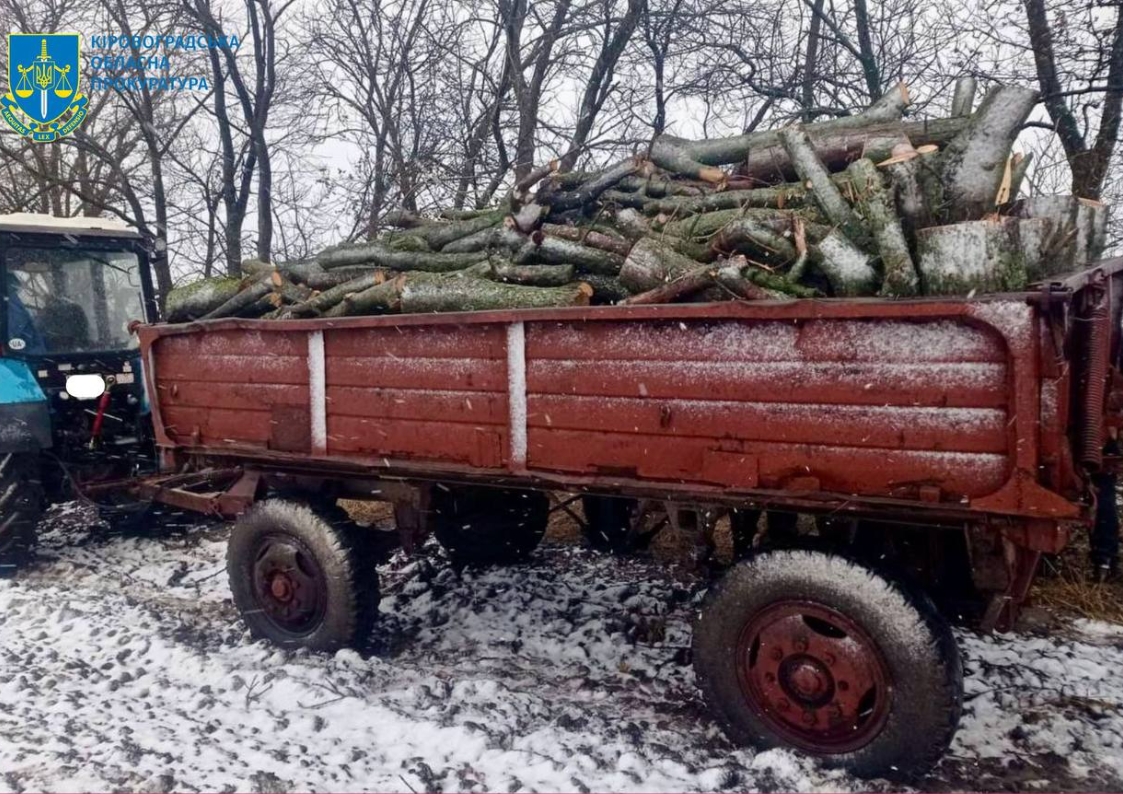 Порубка дерев підозру прокуратура
