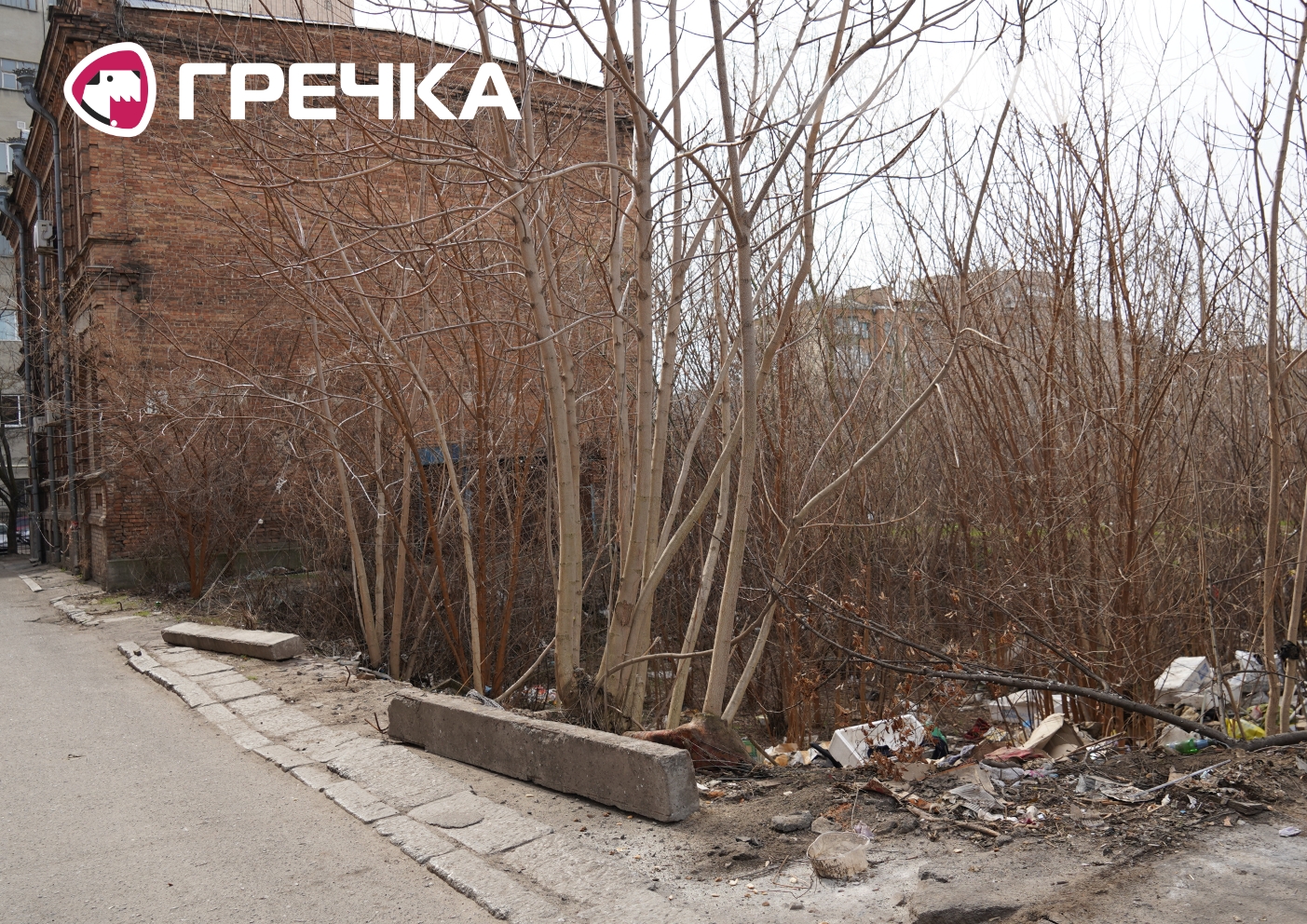 ЗАГС Чорновола Кропивницькому паркан ділянка
