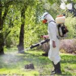 обробляють від кліщів парк працівник