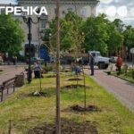 сквер трамваю Театральна дерева