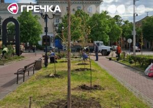 сквер трамваю Театральна дерева
