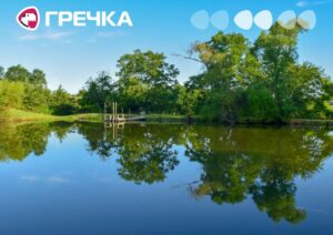 ставок з пасовищем відсудили