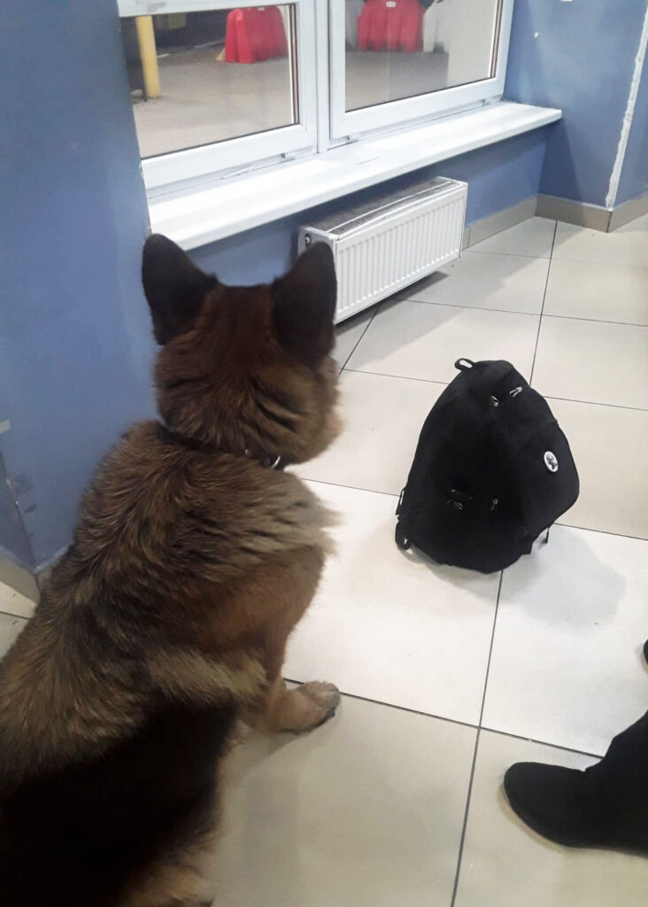 кордон револьвер пес