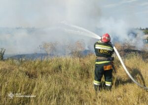 пожежі гектара