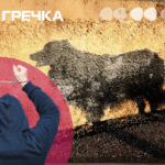 собака пес