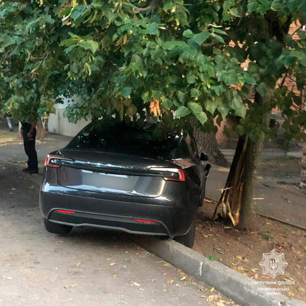Тесла ДТП Кропивницький