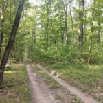 Територія нацпарку на Кіровоградщині