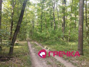Територія нацпарку на Кіровоградщині